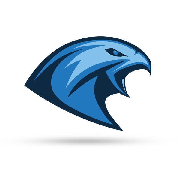 Tychy Falcons
